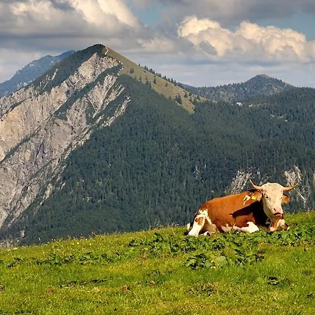 Ferienwohnung Jeremy